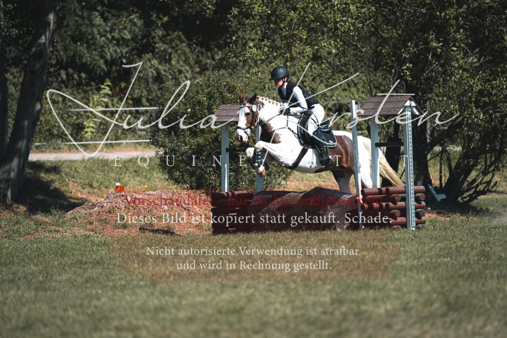 DSC_8092 | Pferde- und Turnierfotografie in Westsachsen. Pferdeportraits, Auftragszeichnungen und intuitive Kunst.
