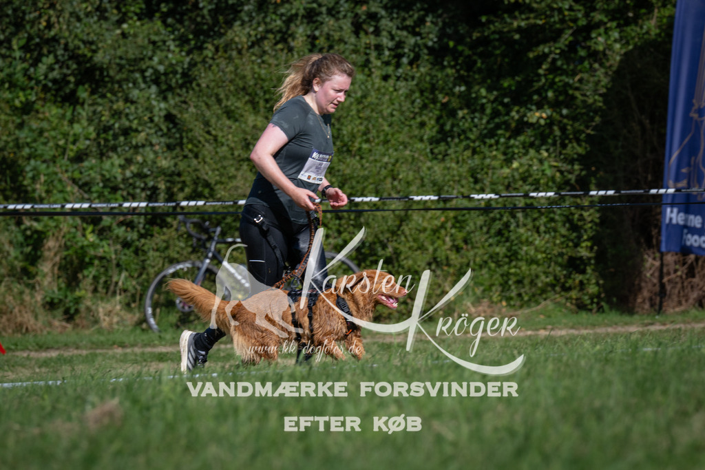 1011_ZZ97816 | kk-dogfotos