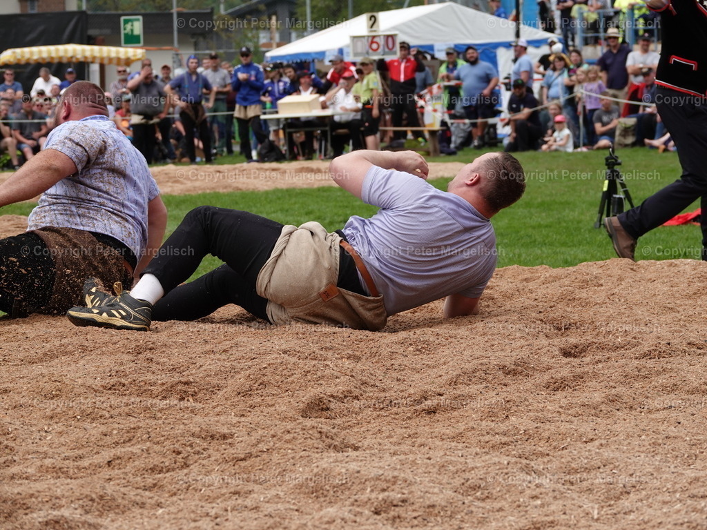 DSC07196 | Schwingen - Realisiert mit Pictrs.com