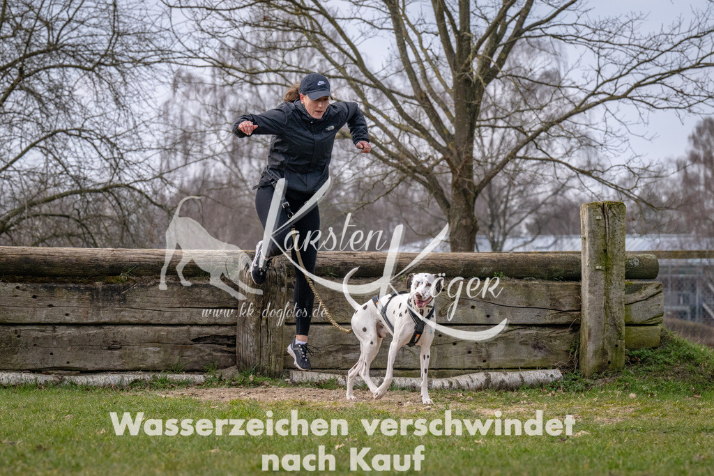 _ZZ91091 | kk-dogfotos