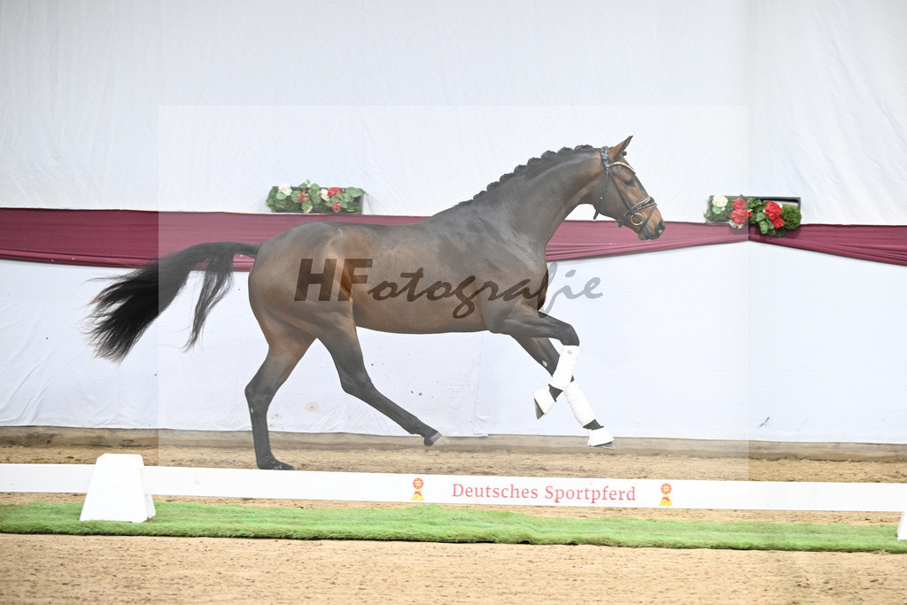 Kat-Nr. 123 Elastic x Belissimo M_Limbecker GnbH u Co. KG_47254069 | hf-fotografie - Realisiert mit Pictrs.com