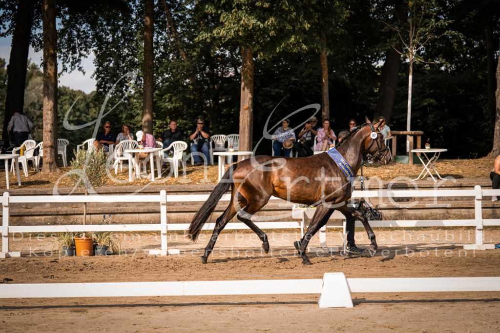 FrER00218 | Leoni Ertmer Photography - Realisiert mit Pictrs.com