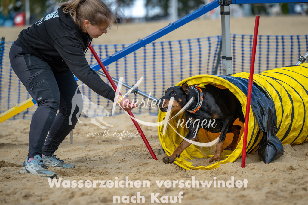 1541_ZZ92330 | kk-dogfotos