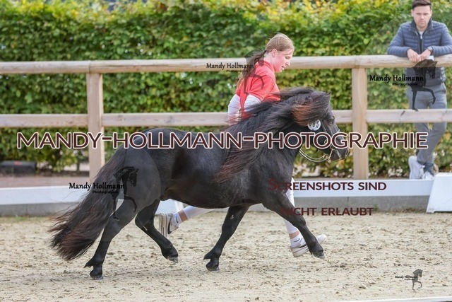 6-28 | mandyhollmannphotographie