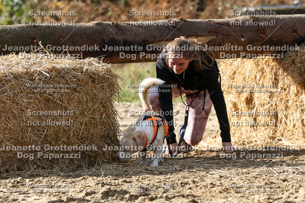 Dog Paparazzi - Strongdog 10-25-5504 | Dog Paparazzi Jeanette Grottendiek Fotografie & Videografie - Realisiert mit Pictrs.com