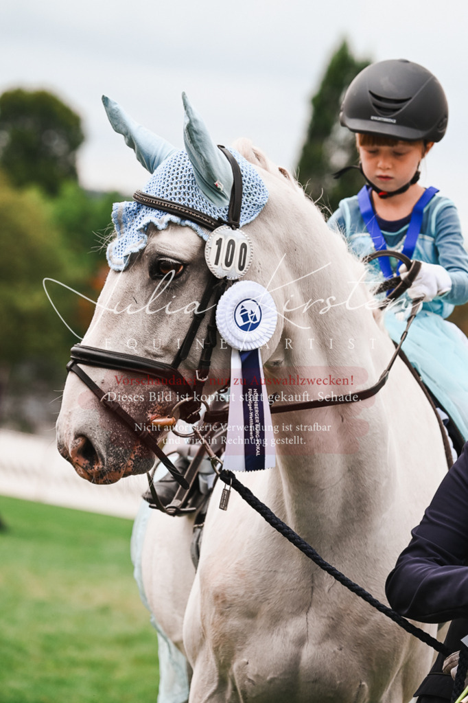 DSC_7474 | Pferde- und Turnierfotografie in Westsachsen. Pferdeportraits, Auftragszeichnungen und intuitive Kunst.