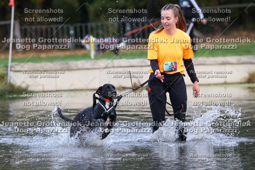 Dog Paparazzi - Strongdog 10-25-6322 | Dog Paparazzi Jeanette Grottendiek Fotografie & Videografie - Realisiert mit Pictrs.com