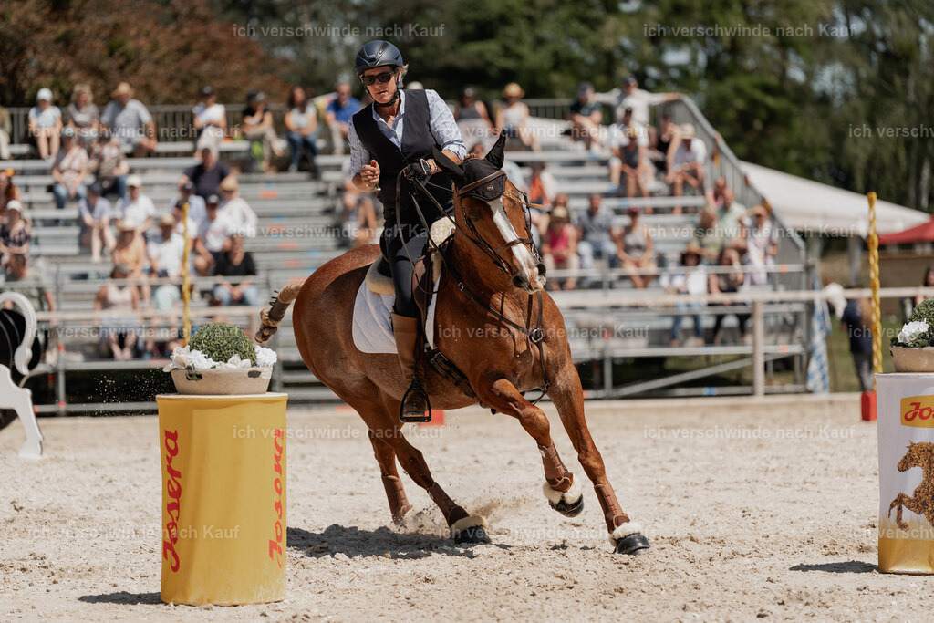 WE_SP_Stoib_323_PI2025_1899 | Pferd International München 2025