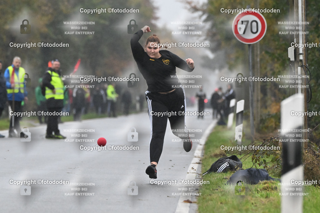 DSC_2608 | Alida Henke / Willmsfeld