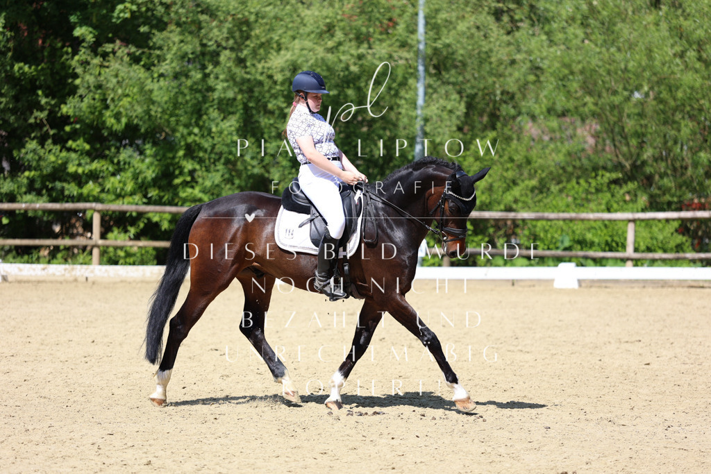 IMGS3982 | pl-fotografie