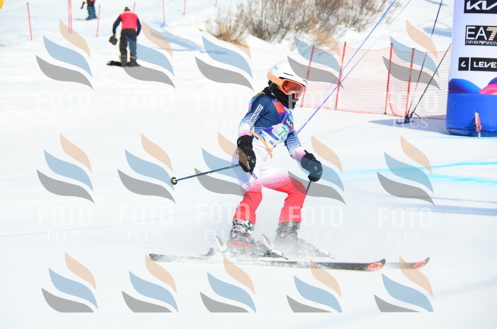 DSC_0430 | holidayphoto