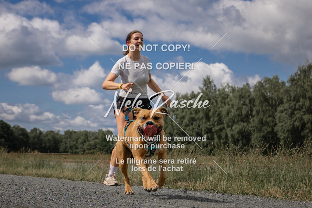 nelerasche_BuHu2026_SaCC1100-1200_17 | nelerasche