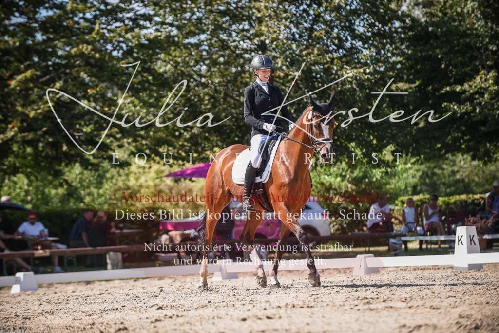 DSC_9470 | Pferde- und Turnierfotografie in Westsachsen. Pferdeportraits, Auftragszeichnungen und intuitive Kunst.