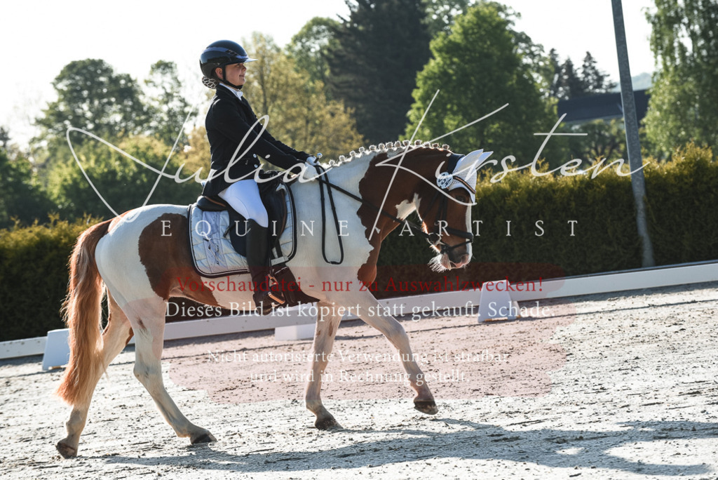 20230518_JK-Röhrsdorf-09-0279 | Pferde- und Turnierfotografie in Westsachsen. Pferdeportraits, Auftragszeichnungen und intuitive Kunst.