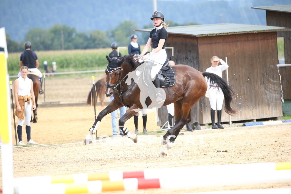 DL2Q3422 | Willkommen bei Brunnmayr - Design & Fotografie – Ihrem Spezialisten für Reitturniere und Pferdeveranstaltungen in Oberösterreich, Salzburg und Bayern! Seit über 17 Jahren sind wir leidenschaftlich dabei.