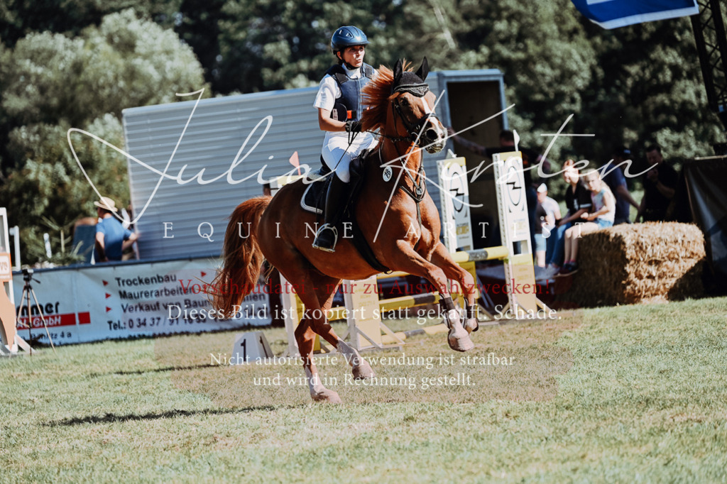 DSC_6945 | Pferde- und Turnierfotografie in Westsachsen. Pferdeportraits, Auftragszeichnungen und intuitive Kunst.