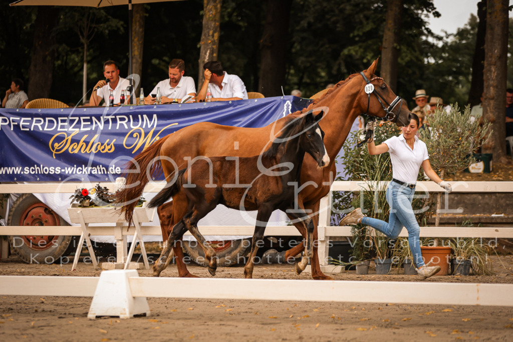 SaPA00278 | Leoni Ertmer Photography - Realisiert mit Pictrs.com