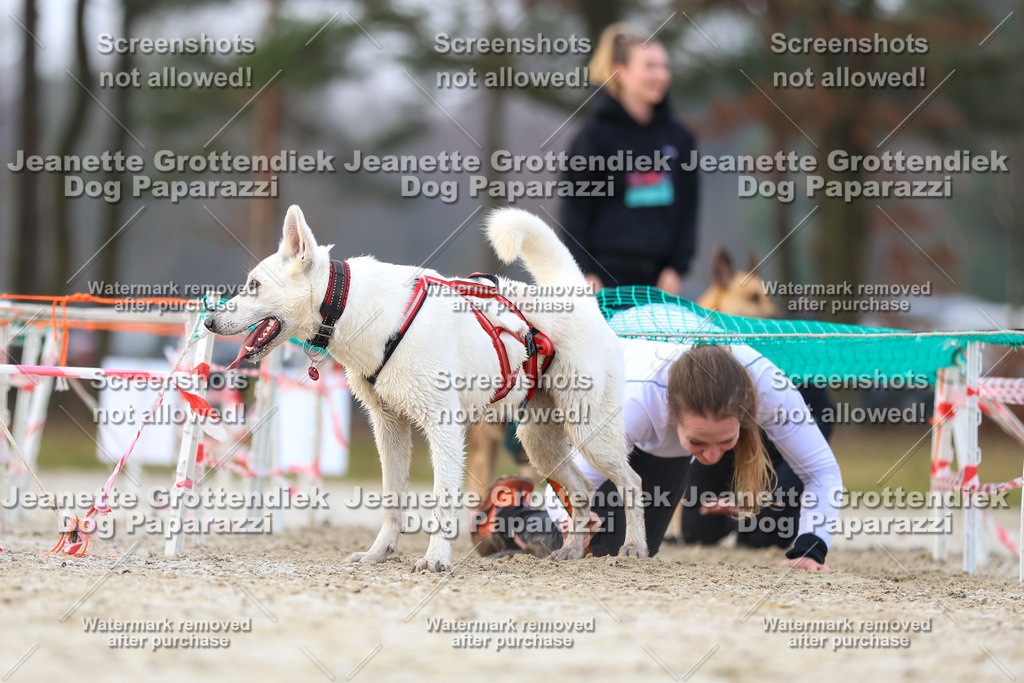 Dog Paparazzi - Strongdog North Mrz26-3787 | Dog Paparazzi Jeanette Grottendiek Fotografie & Videografie - Realisiert mit Pictrs.com
