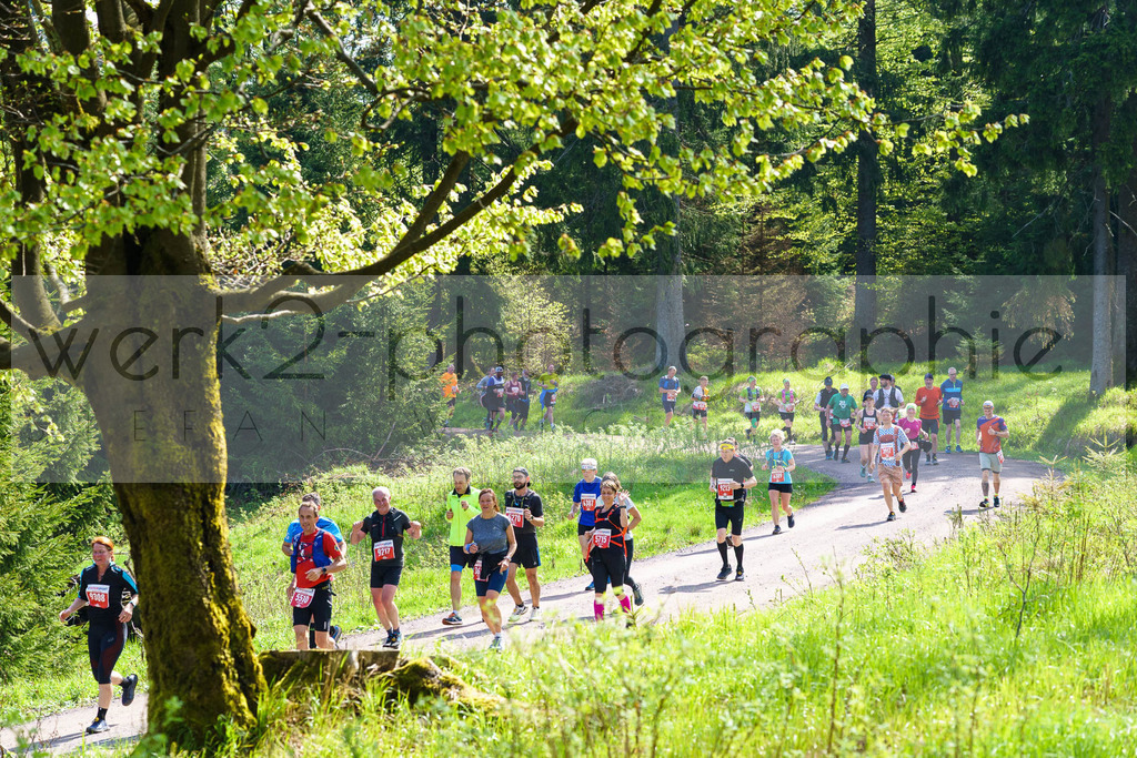 Rennsteiglauf 2023 | Rennsteiglauf 2023 am 12. Mai 2023 - Marathon-Strecke Neuhaus/Rwg. - Schmiedefeld