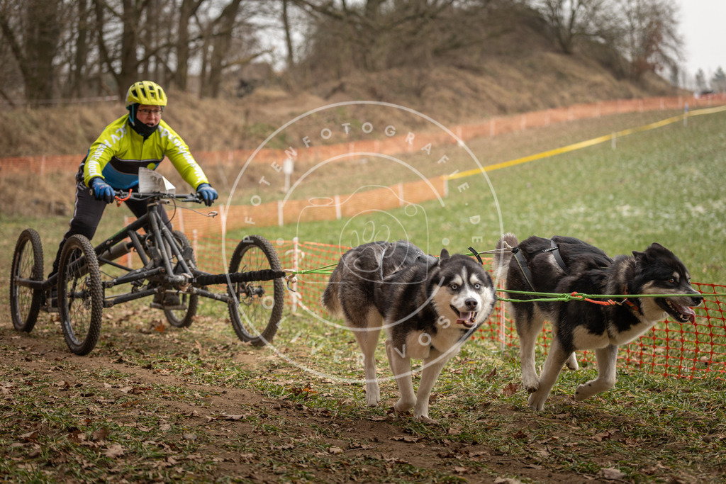 Pfotenfotografie_DV3A8610 | Hundefotografie, Tierfotograf, Pfotenfotografie, Fotoshooting Hund, Hunde Portrait, Hundesport, Hundeportraits, Heideshooting, Hunde, Sportfotograf, Hundefotograf, Turnierhundsport, THS,  - Realisiert mit Pictrs.com