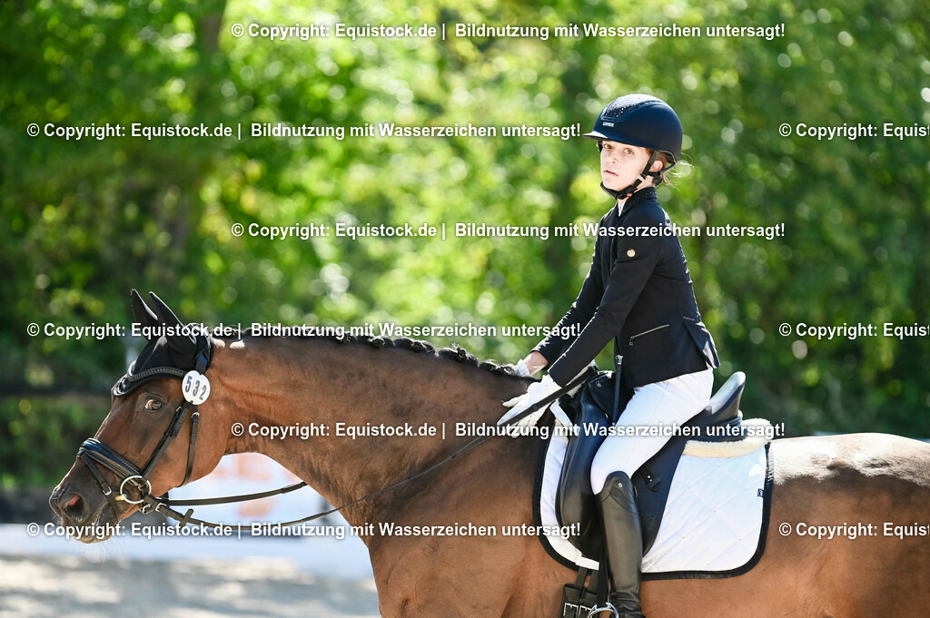 20230908_06_Dressur-L-Trense_0331 | equistock