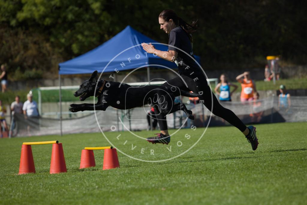 0L8A8294 | Hundefotografie, Tierfotograf, Pfotenfotografie, Fotoshooting Hund, Hunde Portrait, Hundesport, Hundeportraits, Heideshooting, Hunde, Sportfotograf, Hundefotograf, Turnierhundsport, THS,  - Realisiert mit Pictrs.com