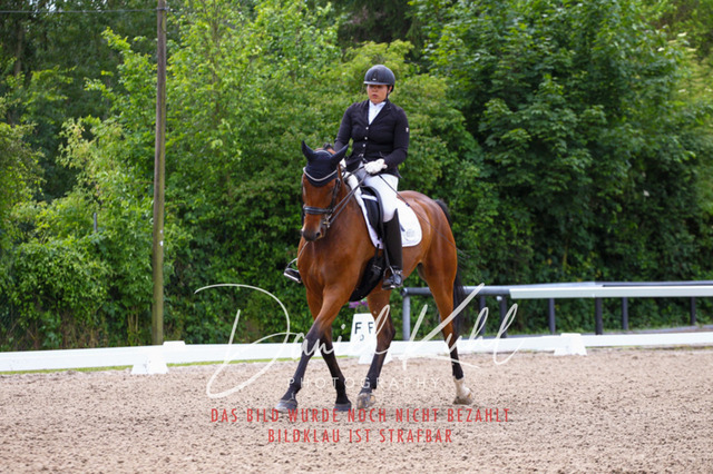 DKP41098 | Turnierfotos kaufen im Webshop von Daniel Kuhl Photography – entdecke professionelle Reitsportfotos aus Turnieren & Events. Hochwertige Turnierbilder online bestellen & sichern. Jetzt Fotos von Reitsportturnieren kaufen!