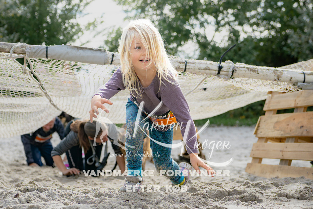 1306_ZZ94953 | kk-dogfotos