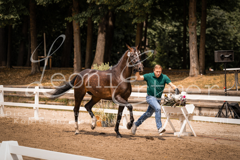 2. Fr00106 | Leoni Ertmer Photography - Realisiert mit Pictrs.com