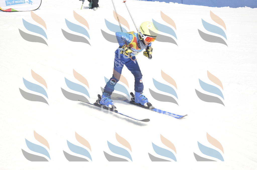 _ELE8762 | holidayphoto