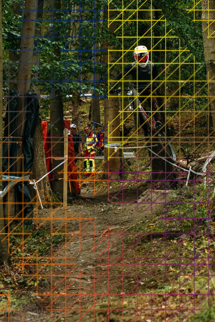 PAE-0261 | Einzigartige Fotokunst für dein Zuhause: Entdecke hochwertige Wandbilder, edle Prints und emotionale Motive von Wildlife, Natur und Landschaften - Realisiert mit Pictrs.com