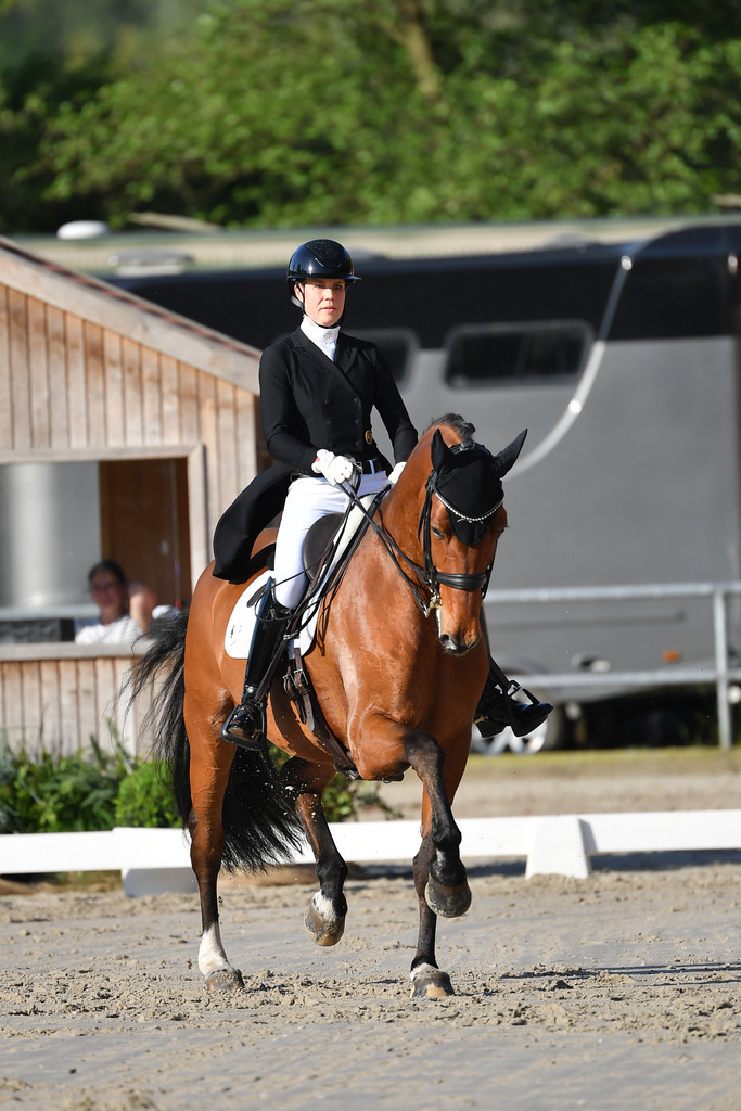 Brunkhorst_15_089 | Der professionelle Turnierfotograf ✓ Reitsport Bilder ▷ Shop ✚ günstig & schnell ✚ mit Zugang für Redakteure