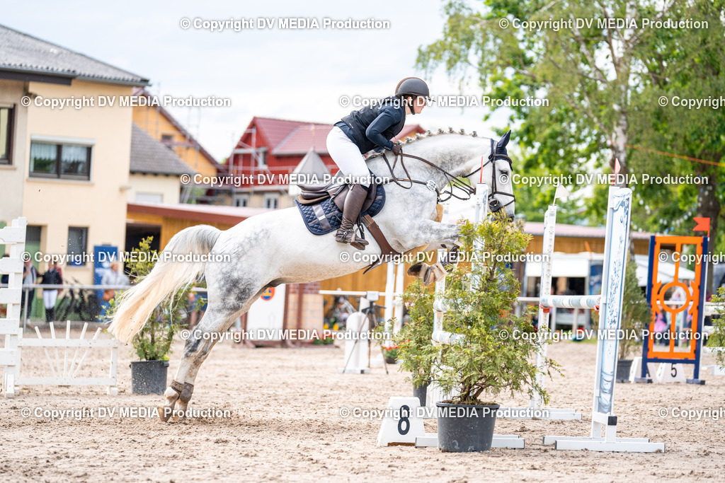 Eppelheim Tag 2-542 | dv-media-shop - Realisiert mit Pictrs.com