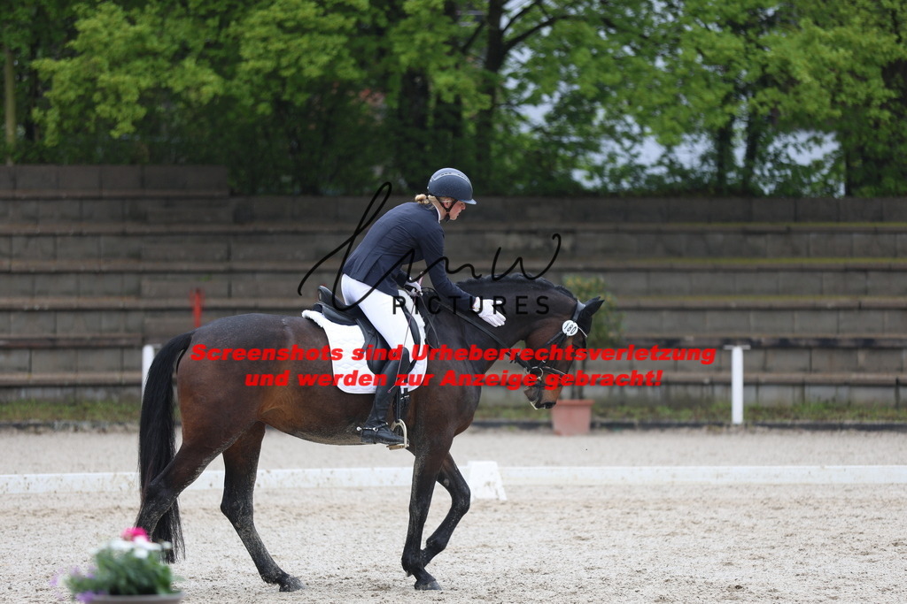 A40A8243 | lmwpictures - Realisiert mit Pictrs.com