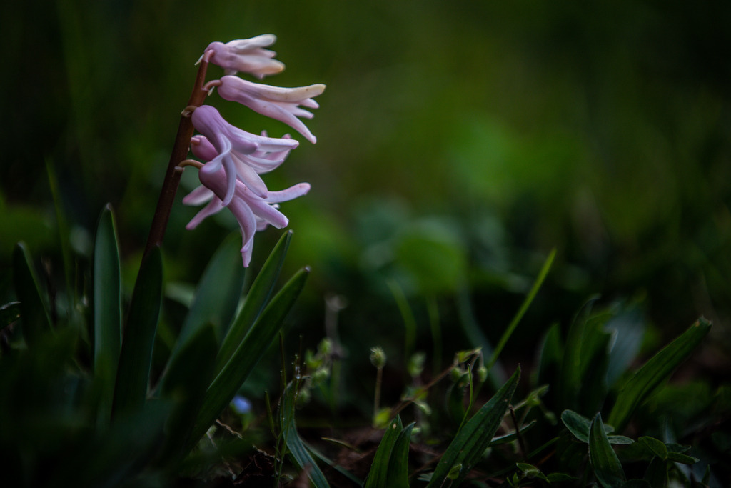 IMG_2188 | ehrlichefotos - Realisiert mit Pictrs.com