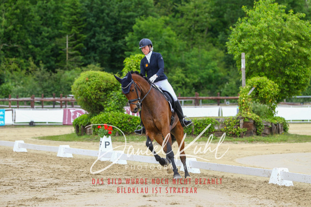 DKP46383 | Turniersportfotografie; Pferdefotografie; Dressurfotografie