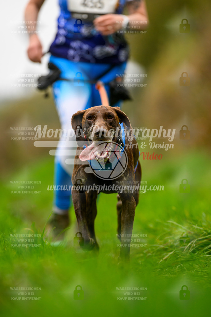 MompixPhotography_20TSB_E8_Run-4 | PayLife