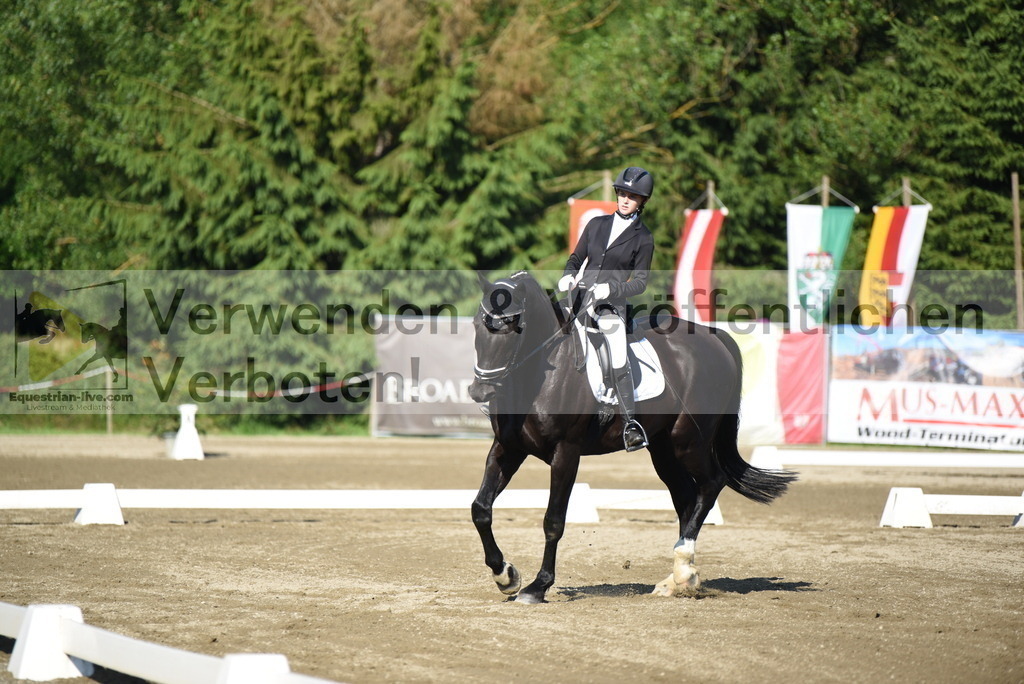 DSC_6923 | equestrian-live-com