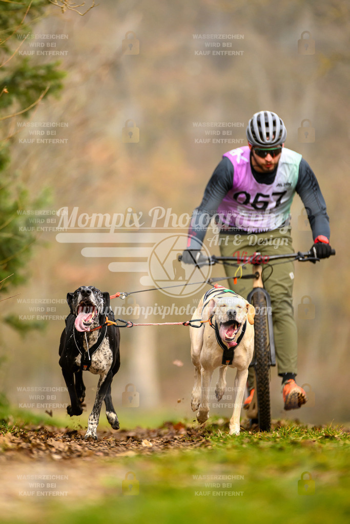MompixPhotography_Schwabentrail2024_Tour-63 | mompixphotography