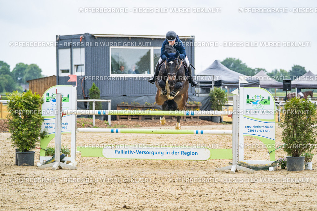 DSC09516 | Pferdegrafie