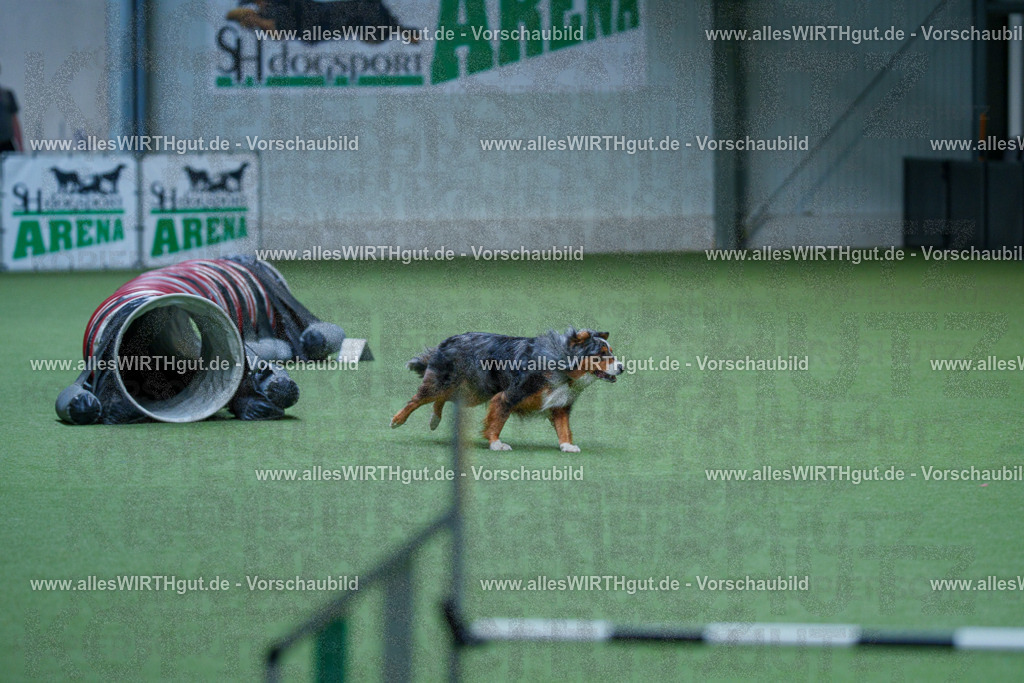 @allesWIRTHgut_Tierfotografie - www.allesWIRTHgut.de - 2604251545-7R506091 | Professionelle Tierfotografie in Mönchengladbach von Daniel Wirth (allesWIRTHgut). Liebevolle & natürliche Bilder von Hunden & Katzen für unvergessliche Erinnerungen.