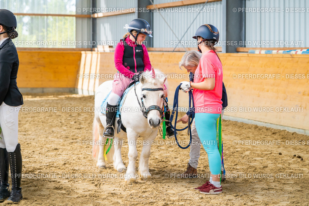 DSC00826 | Pferdegrafie