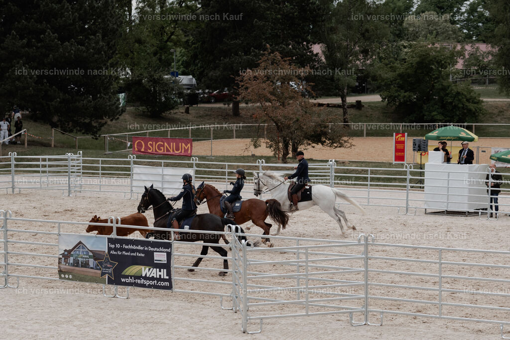 WE__Stoib_Rinder_PI2025_3162 | Pferd International München 2025