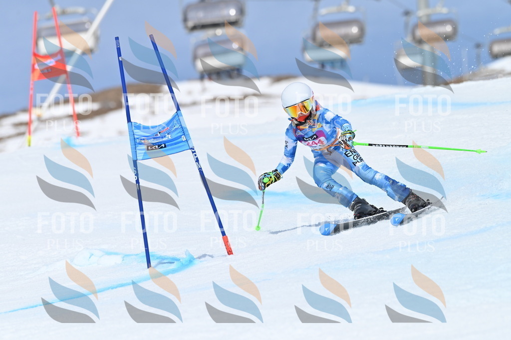 BGV_1776 | holidayphoto