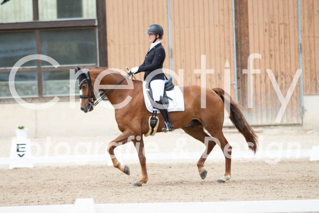 IMG_6177 | Creatify Fotografie