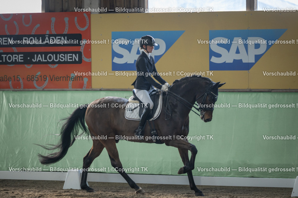 _D5A4491 | Emotionale Pferde- & People-Fotografie rund um Heidelberg, Leimen & Umgebung. Natürliche Fotos von Pferd, Mensch & Familie. Jetzt Termin sichern!