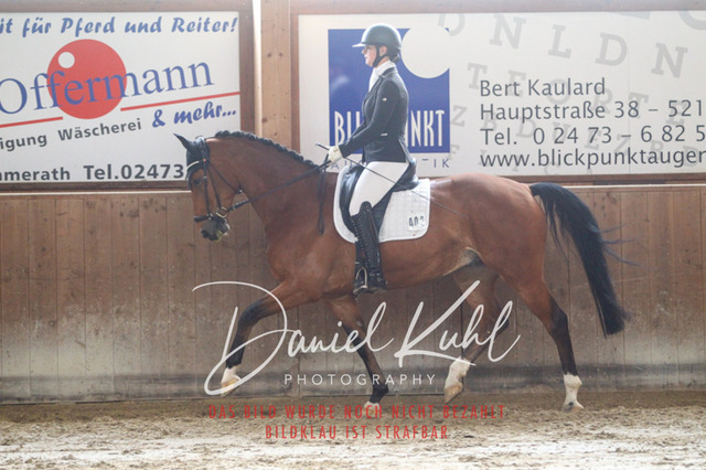DKP43261 | Turniersportfotografie; Pferdefotografie; Dressurfotografie