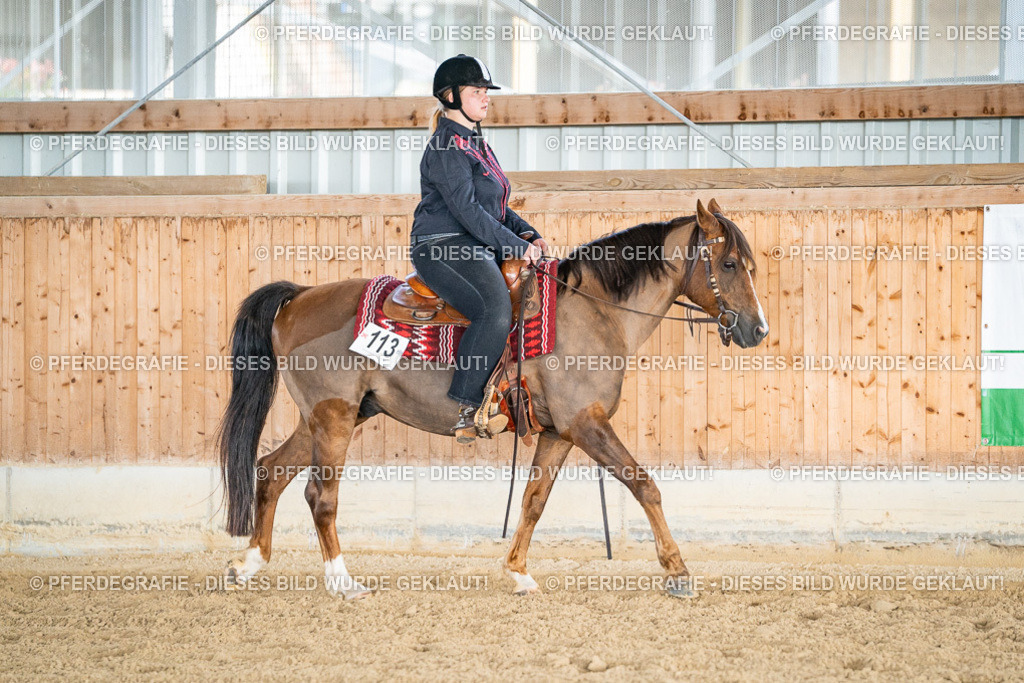 DSC08475 | Pferdegrafie