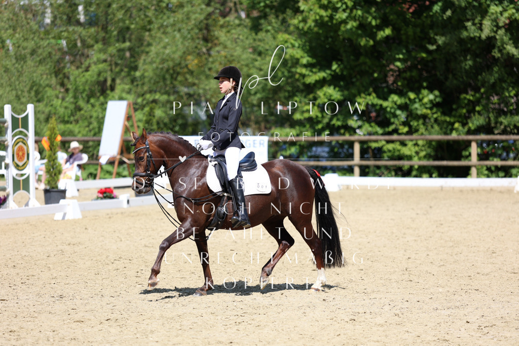 IMGS2476 | pl-fotografie