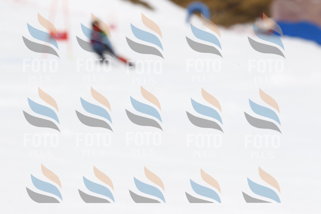 _U3G6736 | holidayphoto